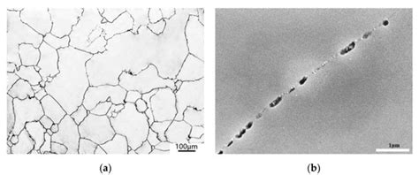 Characterization of Hot Deformation Behavior and Dislocation Structure ...