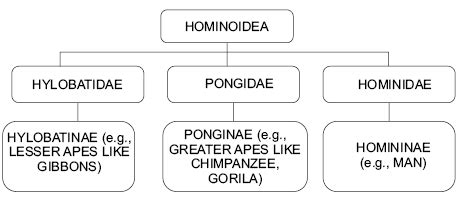 Online Study Materials - Chronicle Civil Services