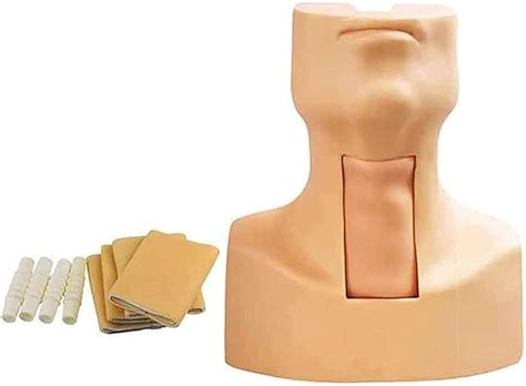 Gkply Tracheostomy Intubation Training Model Training ...
