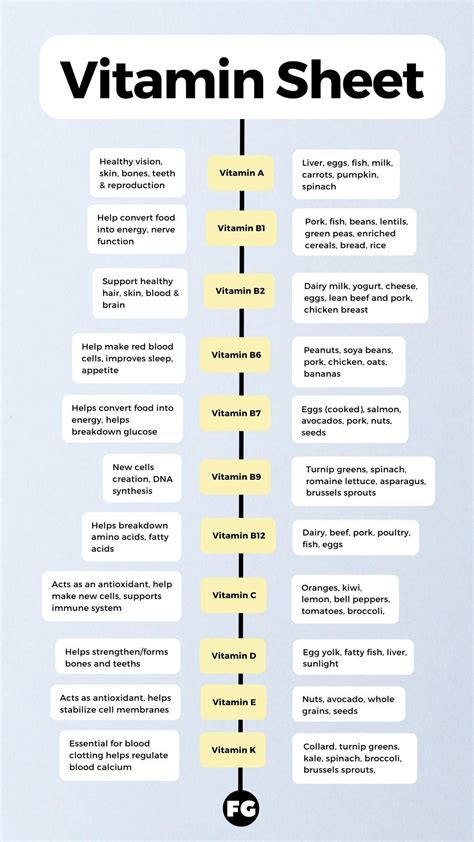 Vitamin sheet vitamin a c d e k b vitamins b1 b2 b3 b6 b7 b9 b12 – Artofit