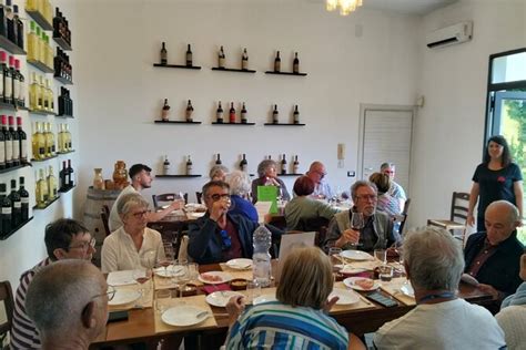 2025 Primitivo tasting of Manduria PDO and visit of the winery - with ...