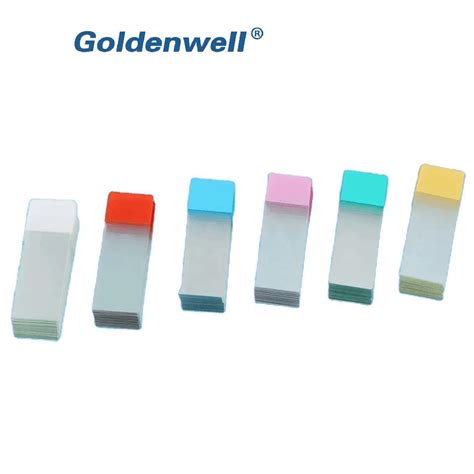 Image result for Bacteria Microscope Slides