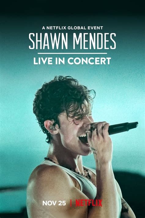 Shawn Mendes: Live in Concert (2020) — The Movie Database (TMDb)