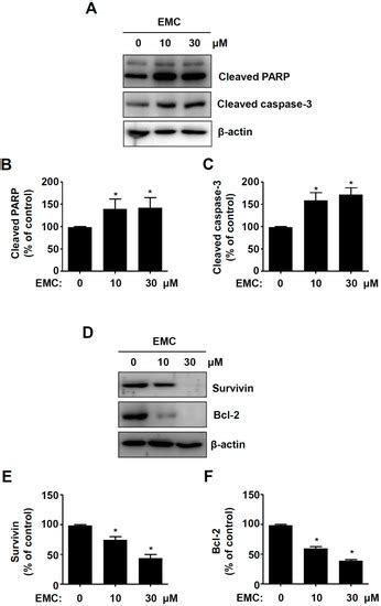 IJMS | Special Issue : Novel Extracellular and Intracellular Signalling ...