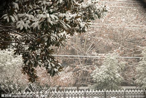 冬天的雪景图片(10张)_自然风光_PS家园网