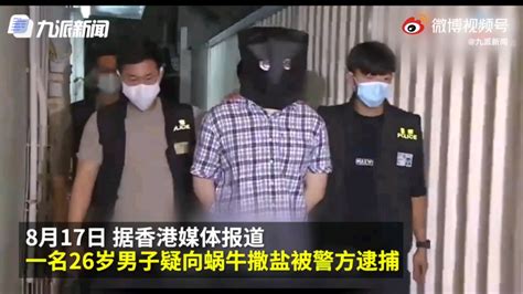 香港博士生撒盐杀死蜗牛，因虐待动物被捕，蜗牛难道不是害虫吗？ - 哔哩哔哩