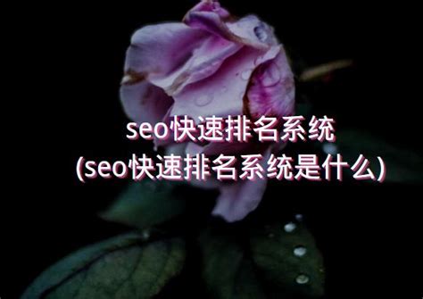 seo快速排名系统(seo快速排名系统是什么) - 洋葱SEO