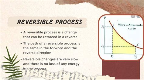 Reversible Process Examples 的图像结果
