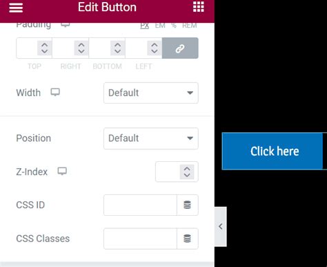 Using CSS in WP Elementor 的图像结果