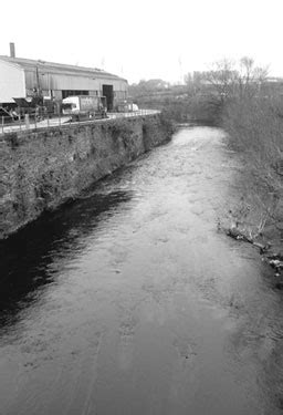 Searching Picture Sheffield