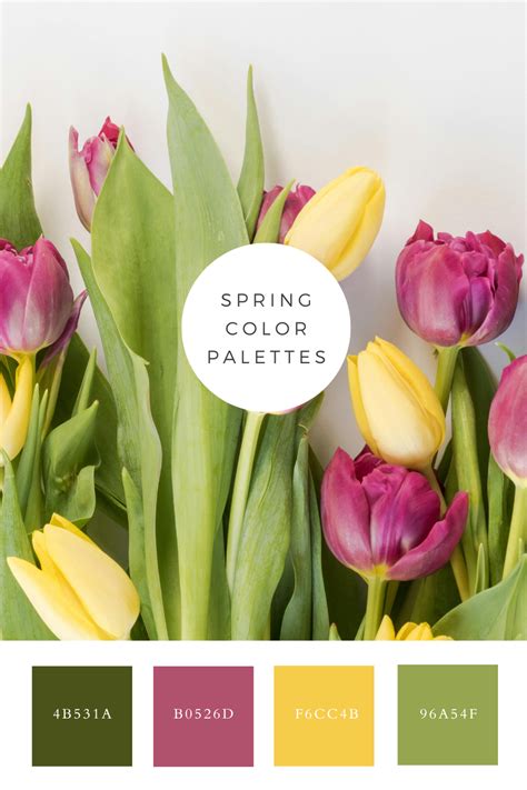 Complementary Spring Colors 的图像结果