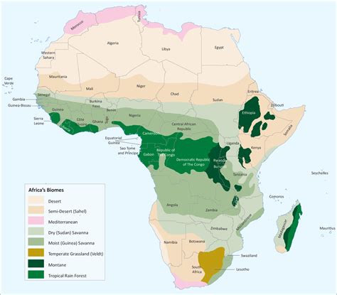 Map of potential distribution of vegetation macrogroups of africa natureserve – Artofit