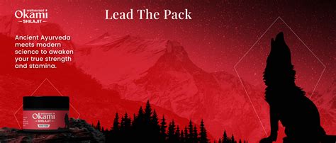 Wellversed Okami Himalayan Shilajit (Shilajit Resin) : Amazon.in ...