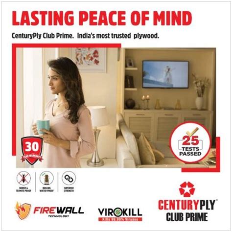 CenturyPly Century Club Prime Plywood 8 x 4 Feet – Better Home