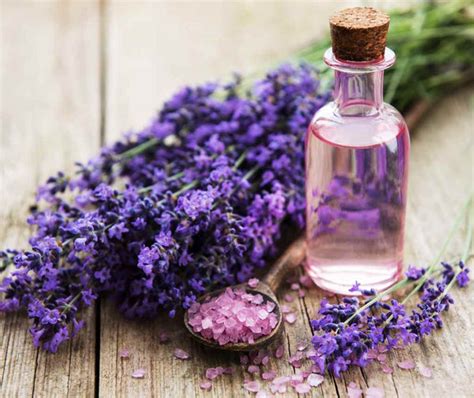 8 Types of Lavender Essential Oil