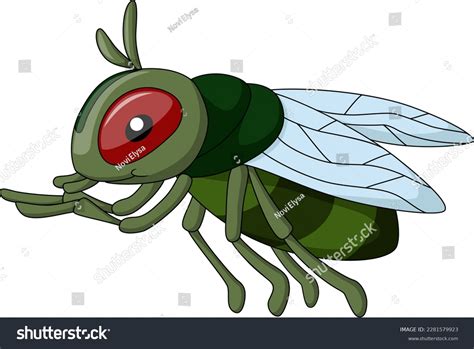 Fly Cartoon 的图像结果