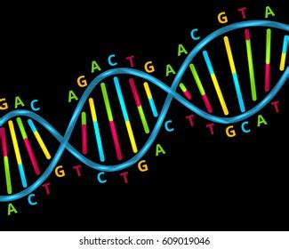 Image result for Color Coding DNA Matches