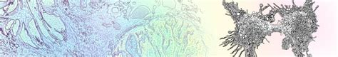 CancerCenterAI