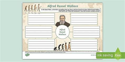 Alfred Wallace Mind Map (teacher made) - Twinkl