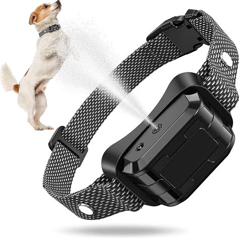 5 Top Citronella Collars For Dogs To Help With Excessive Barking ...