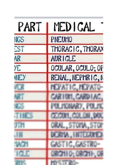 SOLUTION: Medical terminology prefixes and suffixes - Studypool
