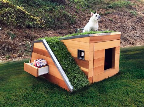 Dog House Rooftop at Terry Duncan blog
