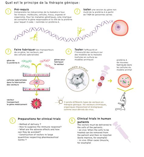 Gene Therapy 的图像结果