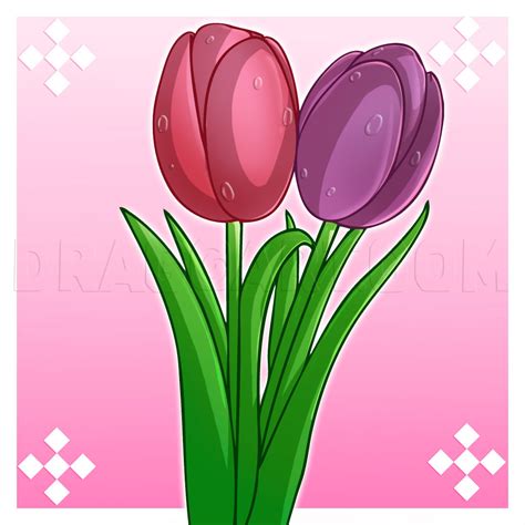 Easy Tulip Drawing