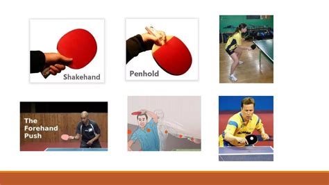 Types of Sport 的图像结果