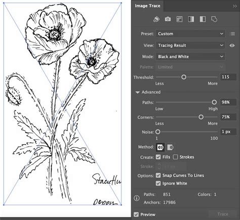 Image result for Create Vector Image Illustrator