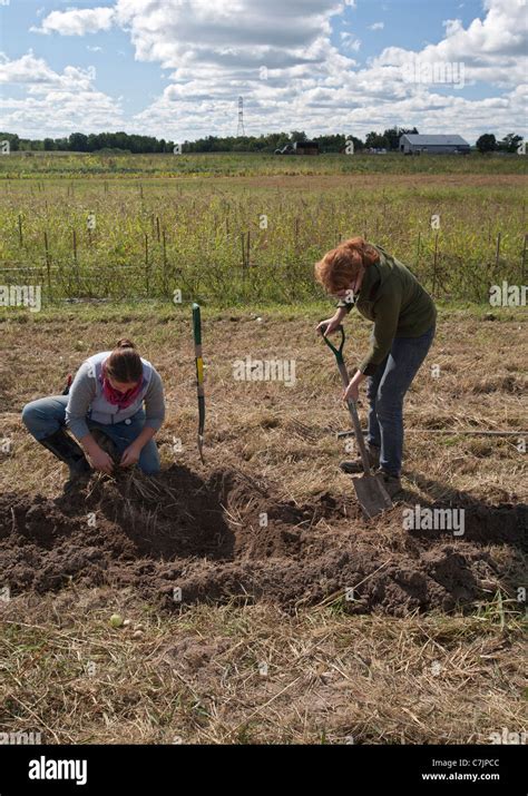 Small Acres 的图像结果