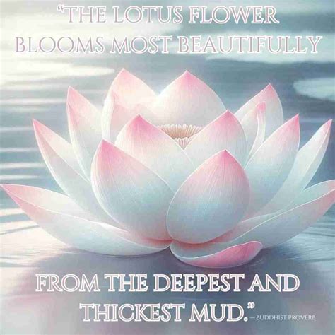 Rooted in Mud: Inspiring Lotus Quotes for Growth & Enlightenment