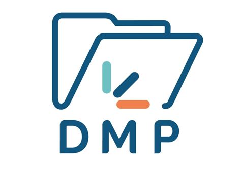 DMP 的图像结果