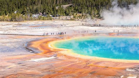 Best times to enter the park? - Yellowstone National Park Forum ...