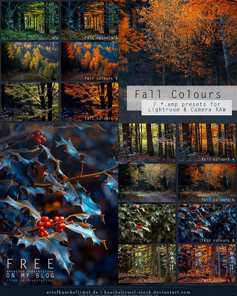 Free Fall Colours Lightroom + CameraRAW Presets | Free photoshop ...