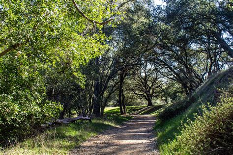 Quicksilver Relics at New Almaden on the Ridge Trail - Coastside Slacking