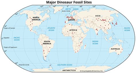 Fossil | Definition, Types, Examples, & Facts | Britannica