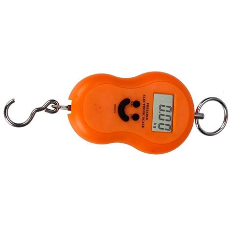 Image result for Portable Scale