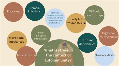 Autoimmunity 的图像结果