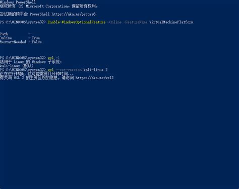 WSL2 Windows 1.0 Zsh 的图像结果