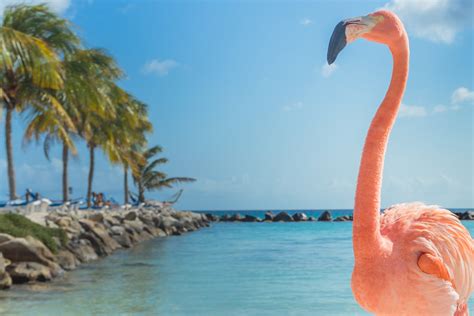 Image result for Using Magic Eraser