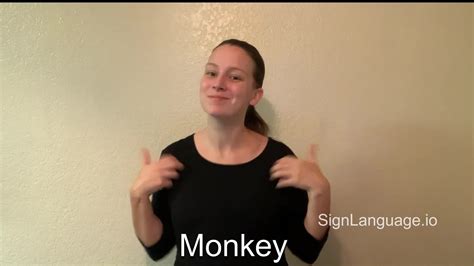 What Is Monkey In Asl Sign Language at Piper Paltridge blog
