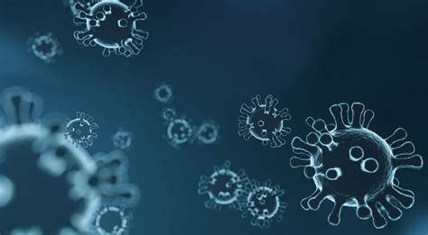 Virus Examples 的图像结果