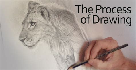 Image result for Drawing Lessons