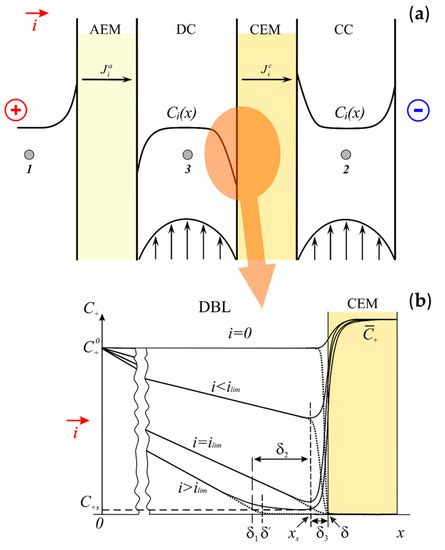 Membranes | Special Issue : Membrane-Assisted (Bio)Chemical Process and ...
