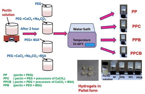 Pectin Based Hydrogels for Drug Delivery Applications: A Mini Review