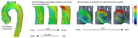 Bioengineering | Special Issue : Computational Biofluid Dynamics
