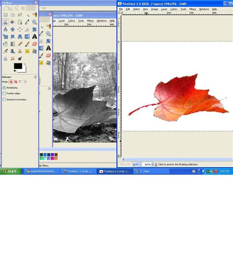 Image result for Colour Splash Tutorial