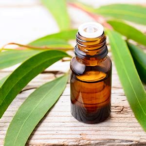 Mamaearth Natural Breathe Easy Vapour Roll-on for Cold & Nasal ...