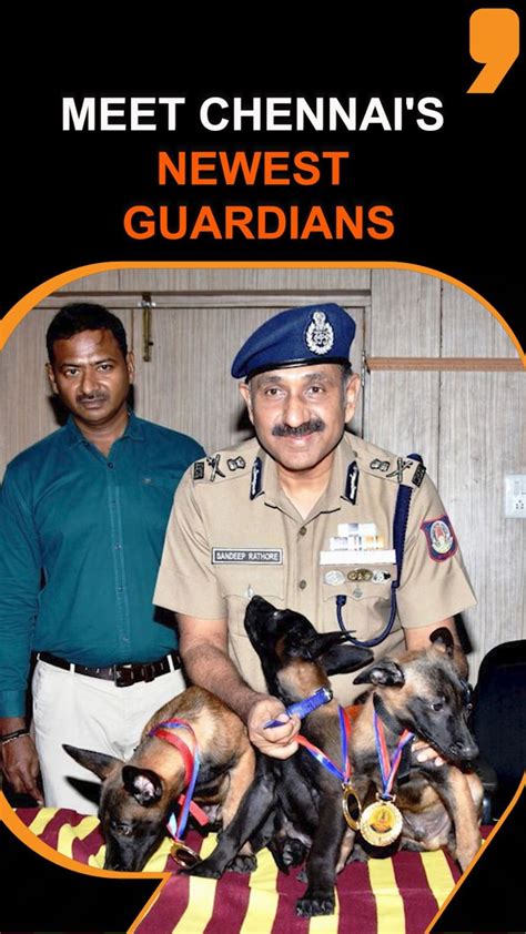 Chennai Police add three Belgian Shepherds to dog squad | VIDEO | News ...